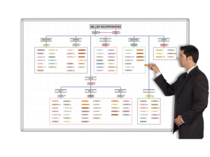 Osc Organizational Chart