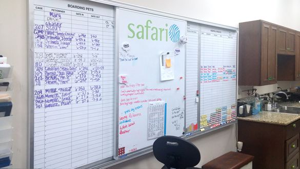How Top Veterinarian Manages His Successful Practice Using Whiteboards